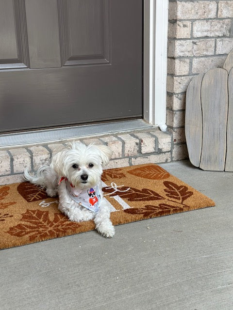 Doggie Halloween Fun Bandana