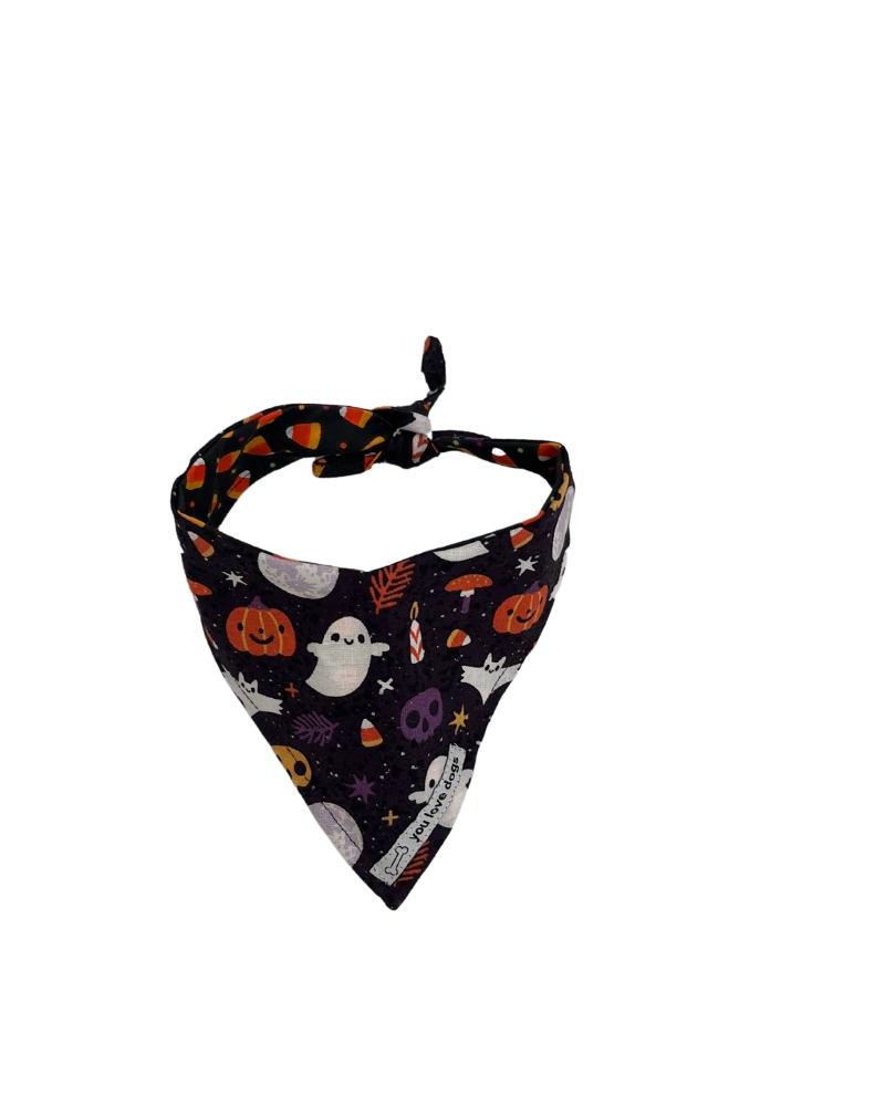 Ghostly Halloween Fun Bandana!