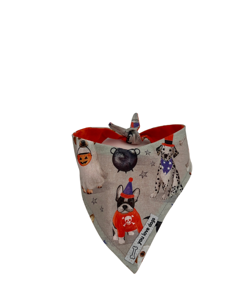 Doggie Halloween Fun Bandana