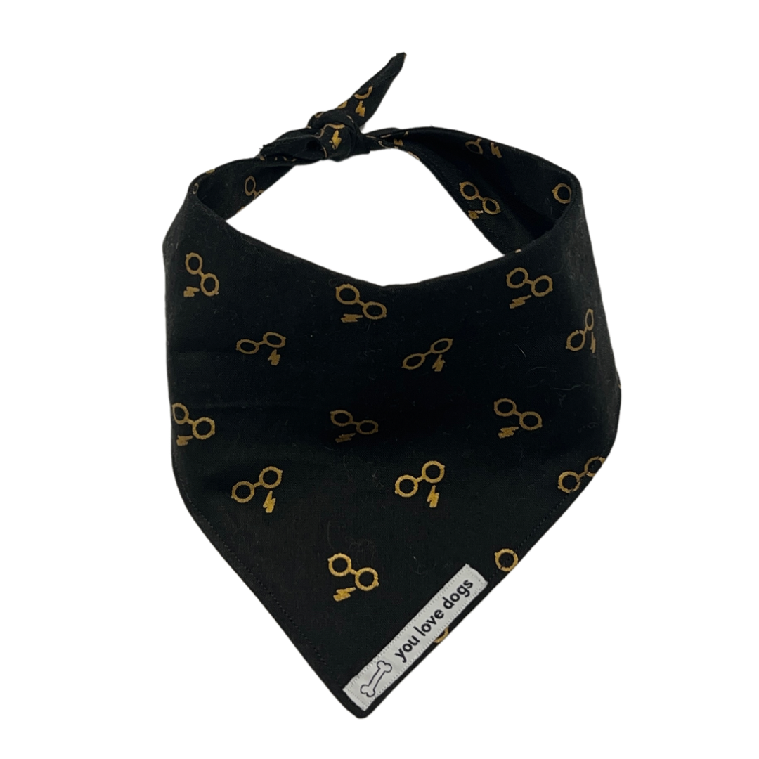 Wizard World of Harry Bandana