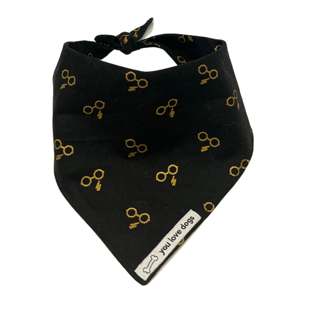 Wizard World of Harry Bandana
