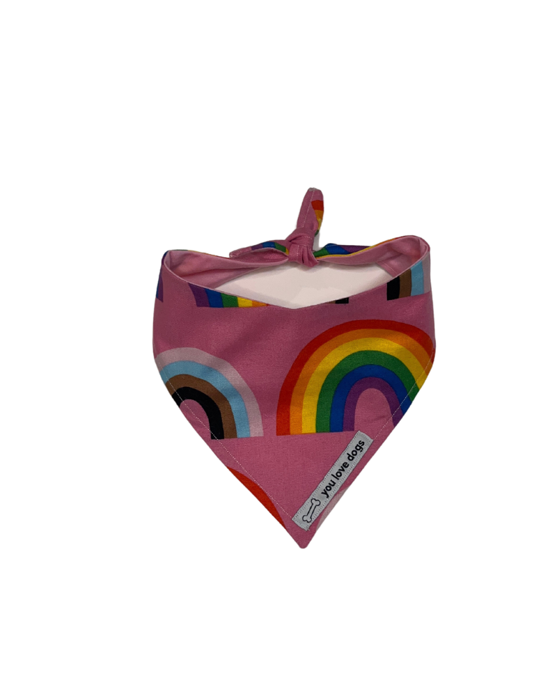 Pride Paw-tner Bandana