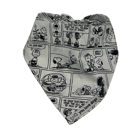 Peanuts Crew for Your Pup to Tag along with You!