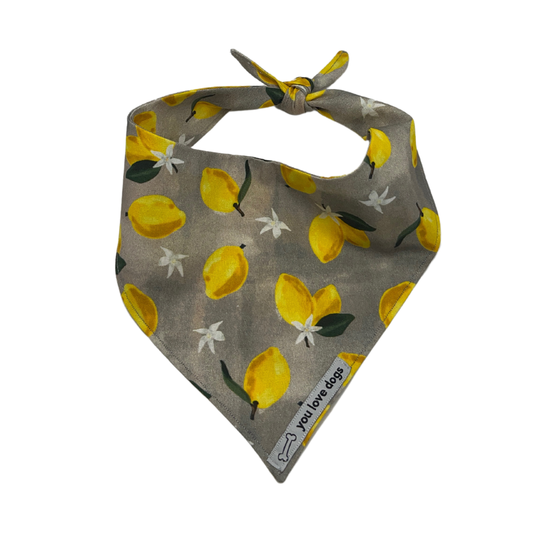 Lemony Lemons Bandana