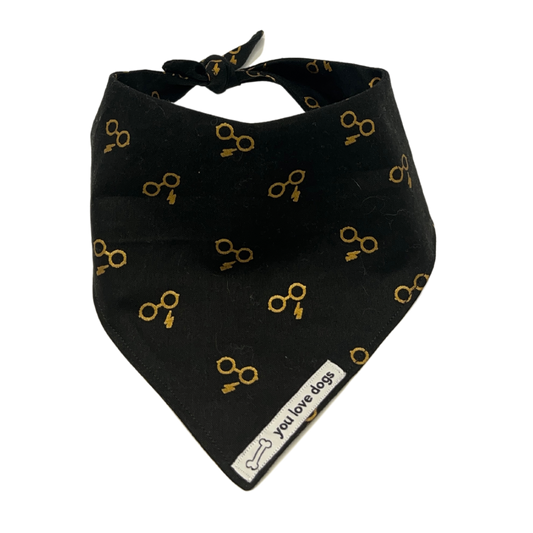 Wizard World of Harry Bandana