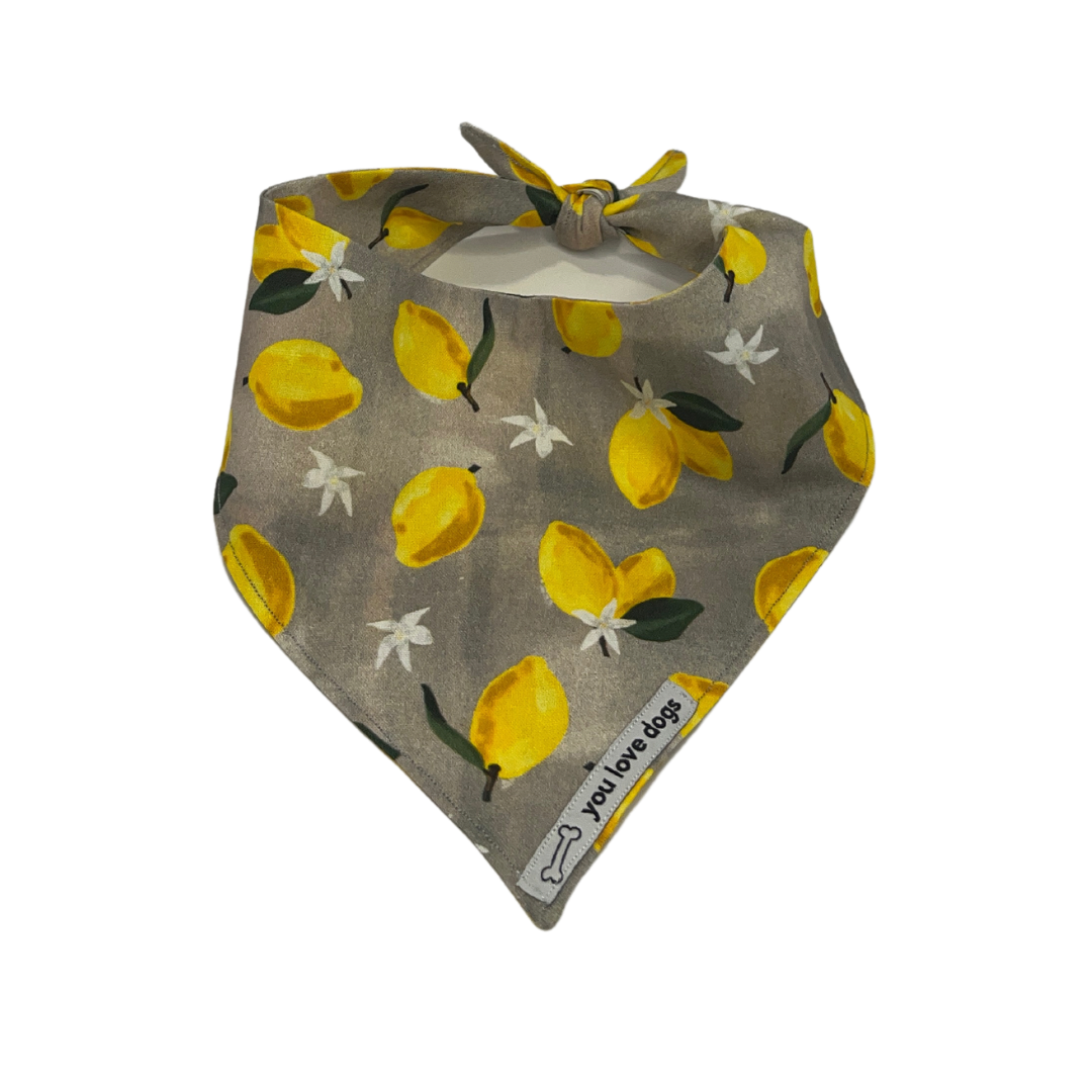 Lemony Lemons Bandana